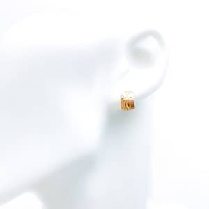 Iconic Sand Finish Earrings